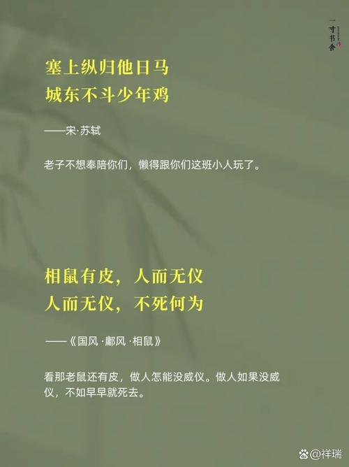 厚颜无耻的十四行诗安卓汉化怎么下载?(教程指导新手快速搞定)