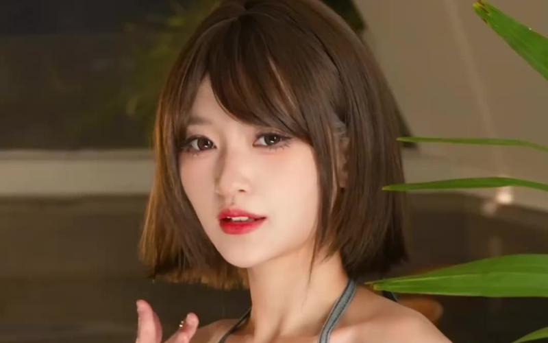 庭树沐年安卓汉化版本对比哪个好?行家推荐首选!