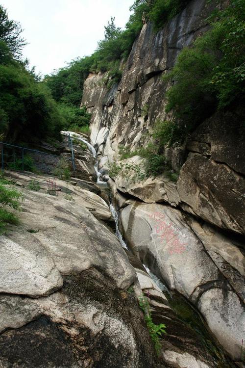 精灵谷最新版本好不好玩？资深玩家真实评测大公开！