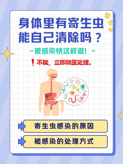 内部寄生虫安卓清除方法，简单几步保护手机安全！
