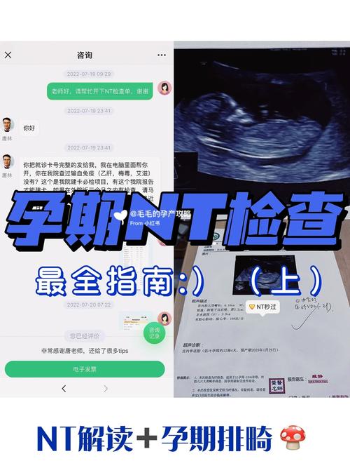 如何下载我的女友NTR梦想最新版(免费安全获取方法指南)