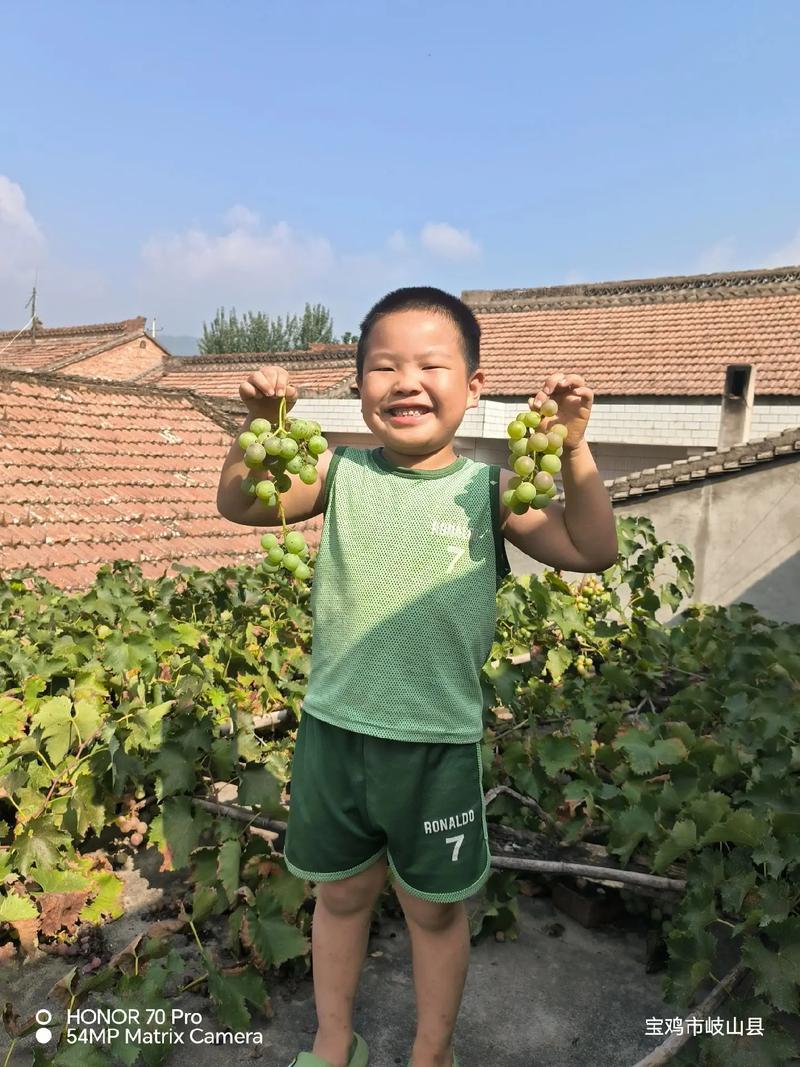 乡村生活的快乐暑假官方正式版最新版下载安装教程！