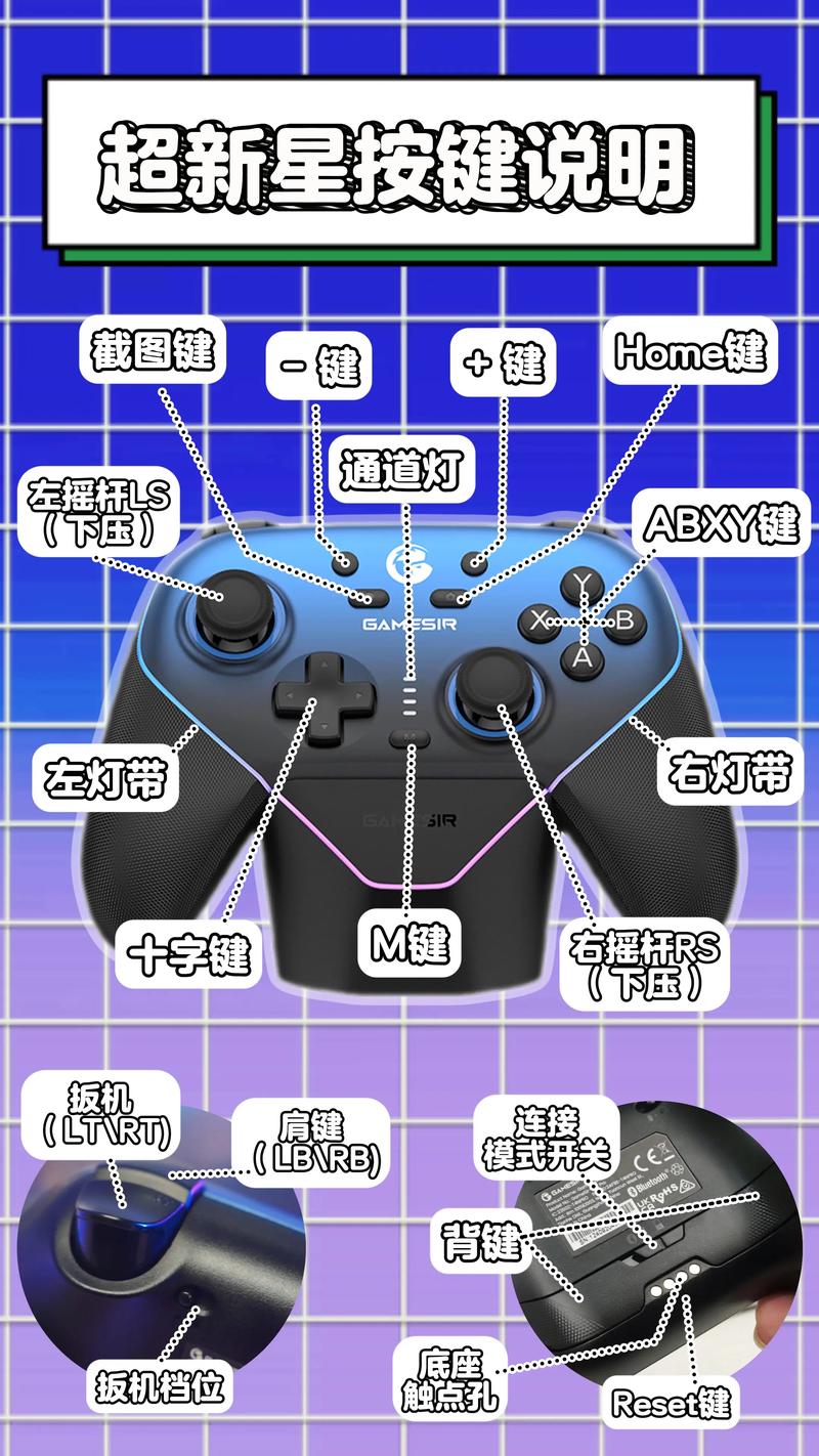 小鸡游戏技能怎么用?这些实用攻略技巧要记住