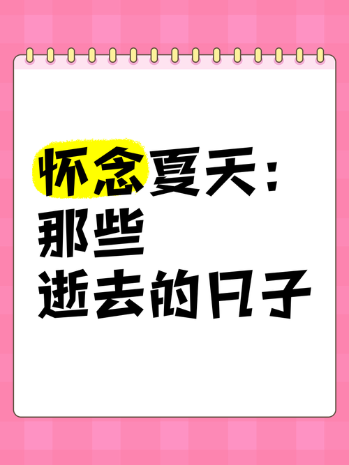 逝去的夏天版本大全怎么用？(新手轻松上手操作技巧)
