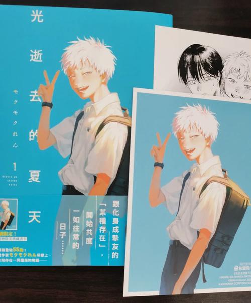 逝去的夏天版本大全怎么用？(新手轻松上手操作技巧)